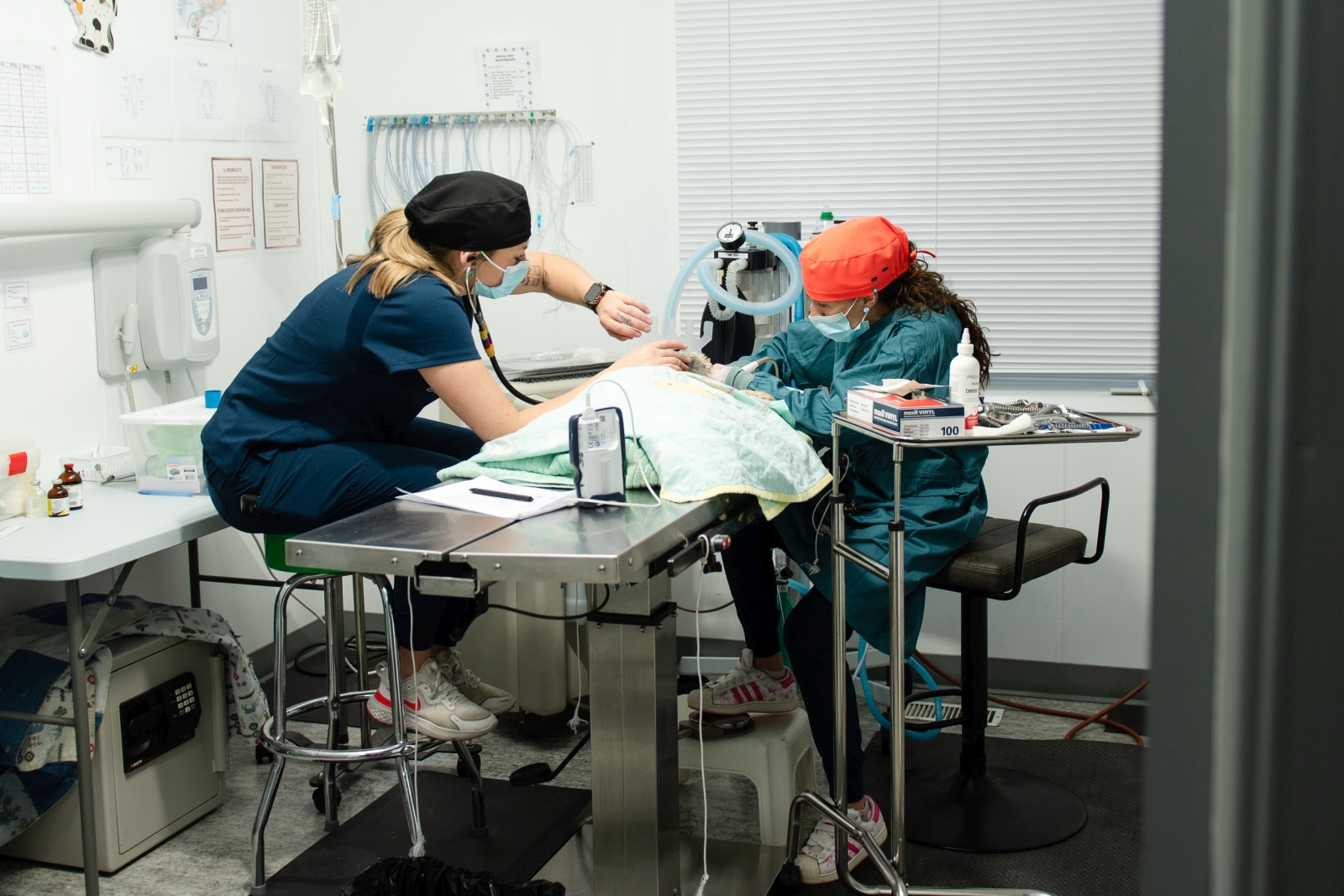 Dentistry